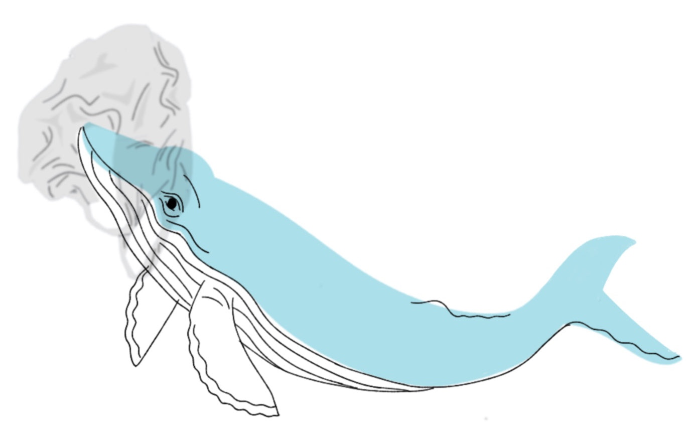 files-image0-jpg files-image0-jpg